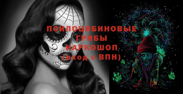 шишки Валдай