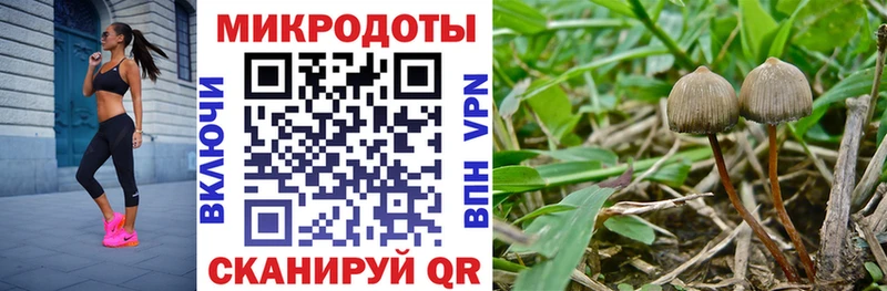 Галлюциногенные грибы Cubensis  где можно купить наркотик  мега ссылки  Бийск 
